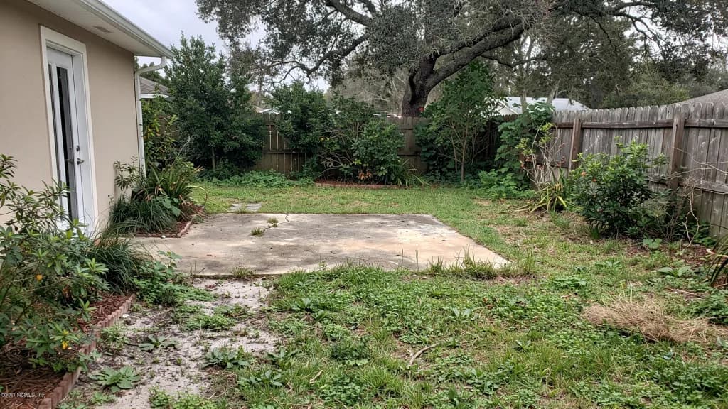 An overgrown North Florida yard before service